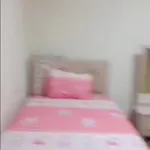 شقه مفروشه المريوطيه فيصل